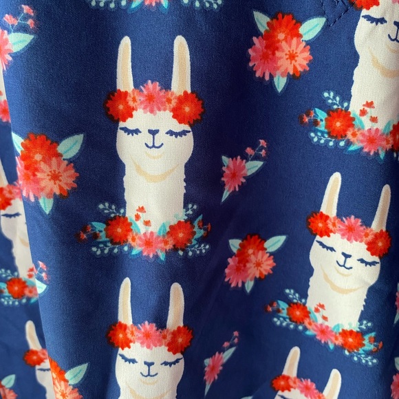 Scrub - Picture 3 of 4